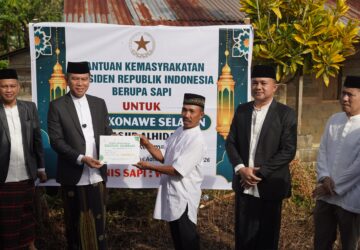 Pemkab Konsel Gelar Idul Adha 1447 H, Presiden RI Salurkan Sapi Kurban 910 Kg untuk Warga