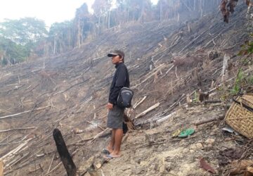 Benarkah Perladangan Masyarakat Dayak Menjadi Penyebab Utama Karhutla di Kalimantan?