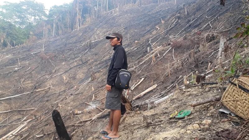 Benarkah Perladangan Masyarakat Dayak Menjadi Penyebab Utama Karhutla di Kalimantan?