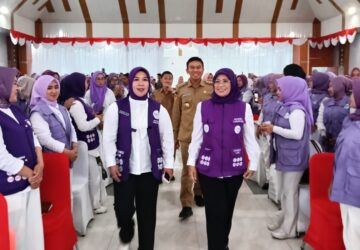 Posyandu Konsel Naik Kelas, 6 SPM Jadi Ujung Tombak Pelayanan Dasar Warga