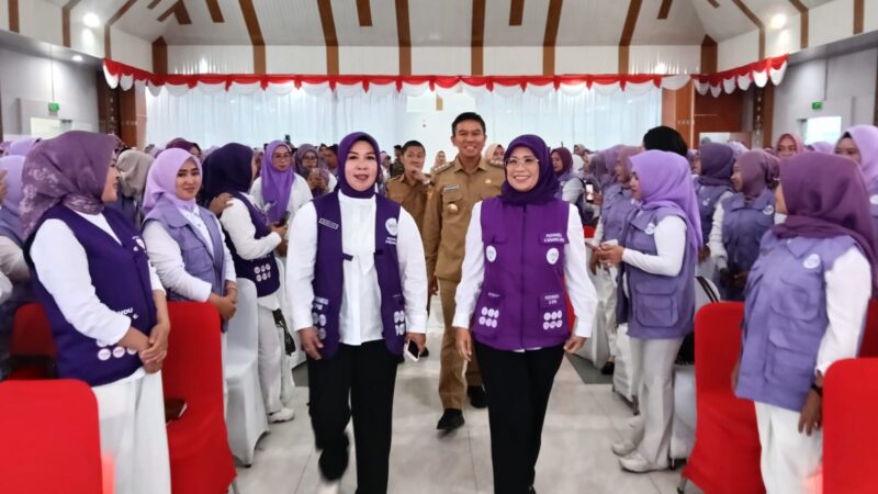Posyandu Konsel Naik Kelas, 6 SPM Jadi Ujung Tombak Pelayanan Dasar Warga